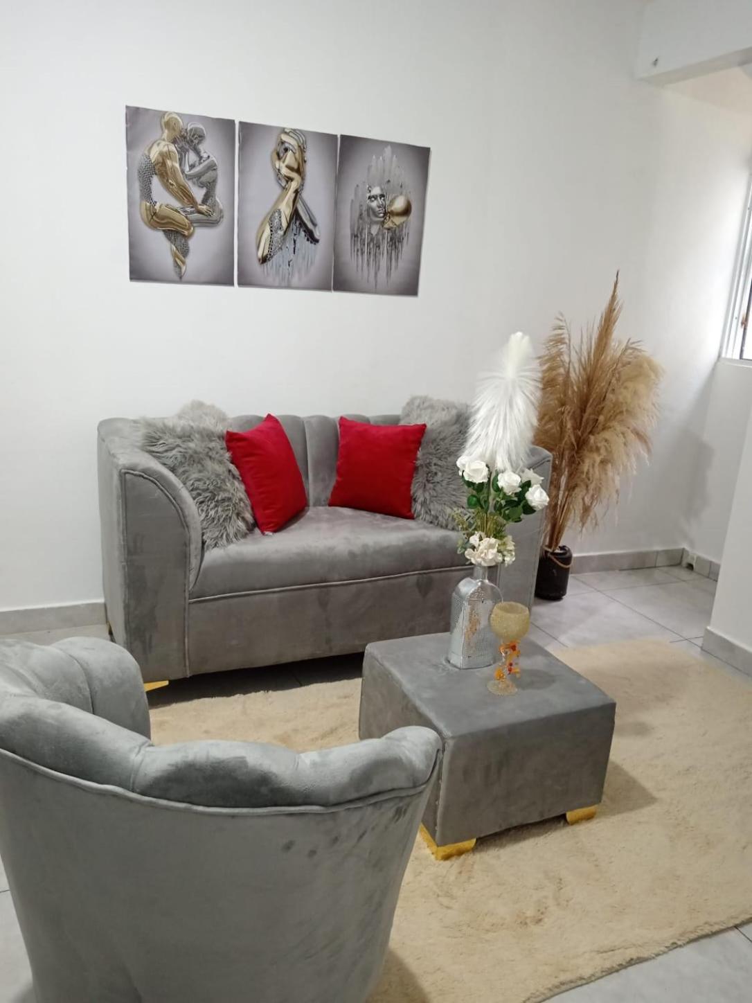 Apartamentos De 1 2 Y 3 Habitaciones Santiago De Los Caballeros Exteriör bild
